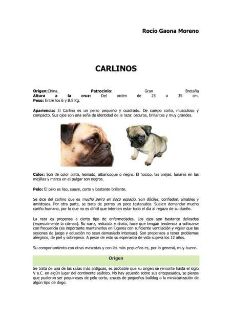 Historia carlinos