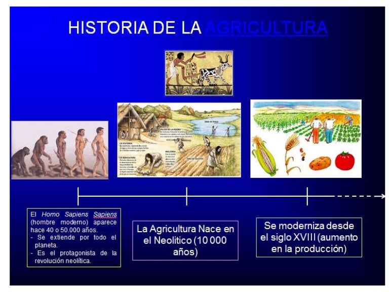 Historia de la agricultura Historia de la agricultura
