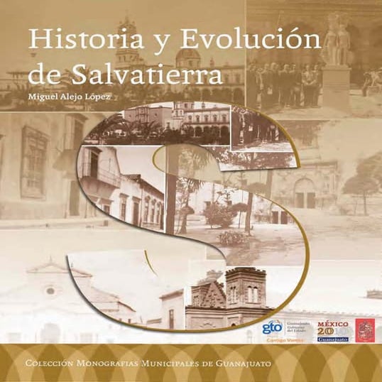Historia de Salvatierra