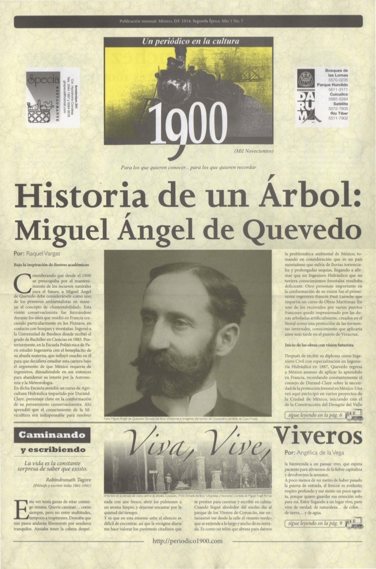 Historia de un árbol Miguel Ángel de Quevedo