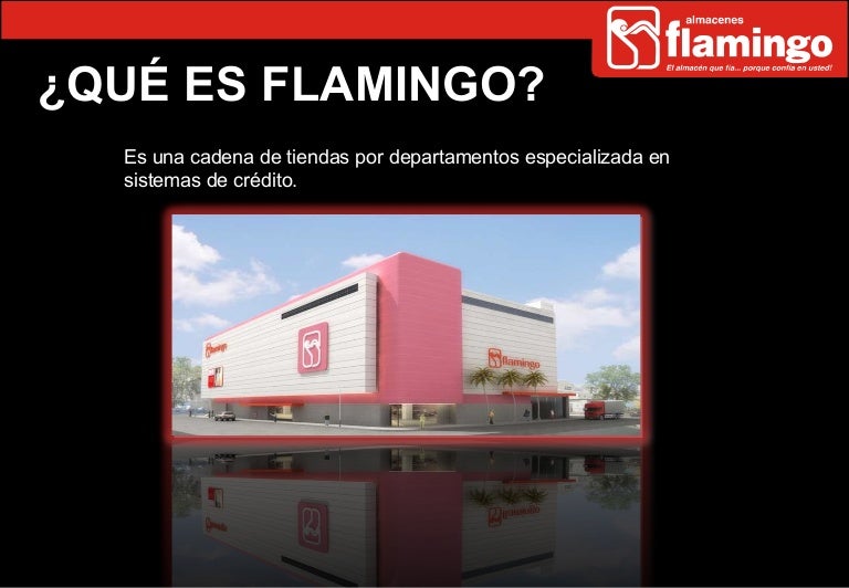Historia flamingo