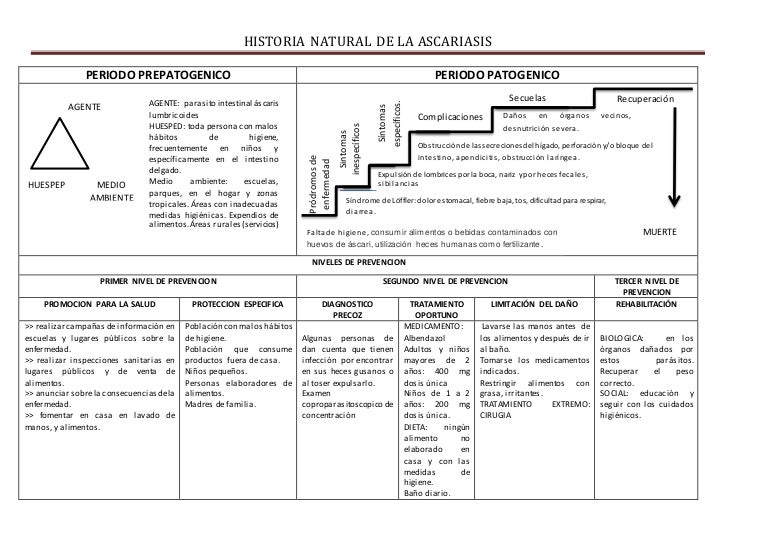 Historia natural de la Ascariaisis Historia natural de la Ascariaisis