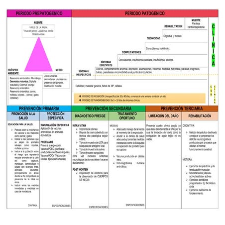 Historia natural de la enfermedad y cadena epidemiológica de la rabia