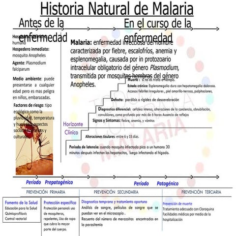 Historia natural de la malaria