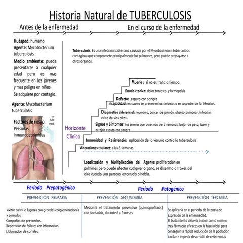 Historia natural de tuberculosis