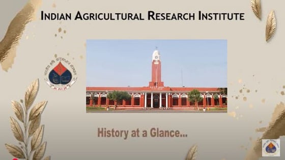 Plant Breeding: The Process of production of inbred lines & hybrid ...