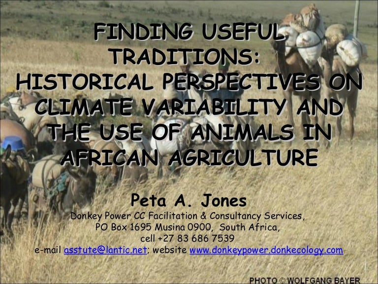 Historical Perspectives