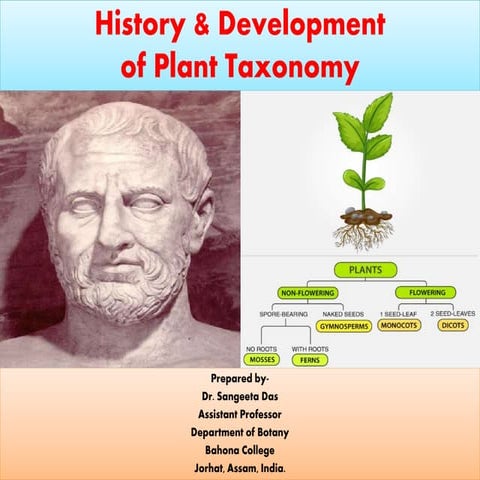 History and development of plant taxonomy