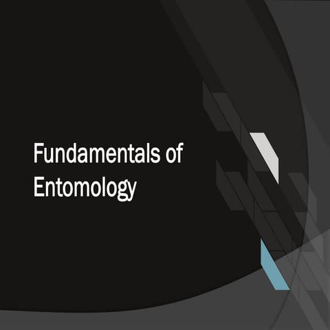 Fundamental of entomology Dr.Sunil Prajapati | PPTX