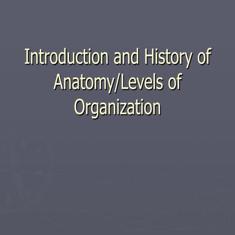 History Of Anatomy