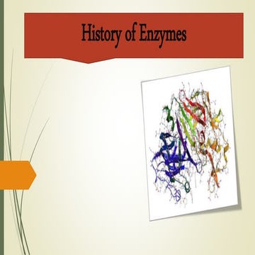 History of enzymes.