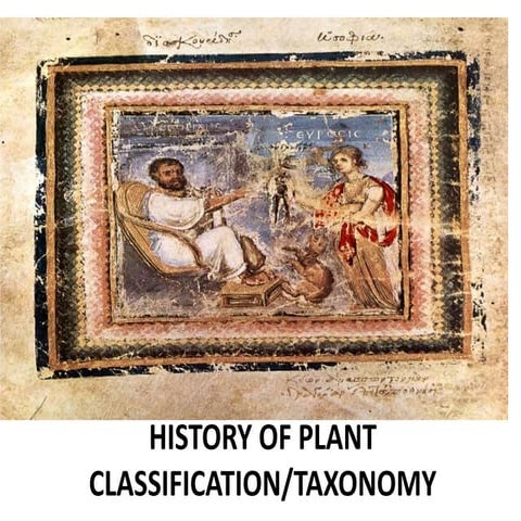 History of Plant Classification.pptx