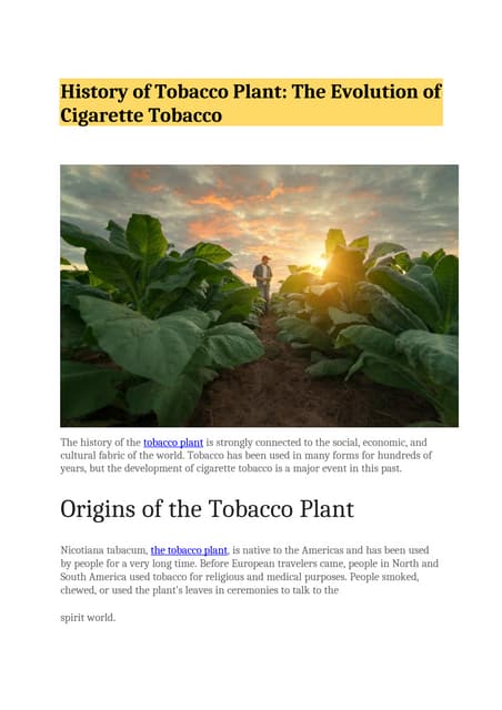 how was tobacco used in the past A brief history of smoking A History of Tobacco -