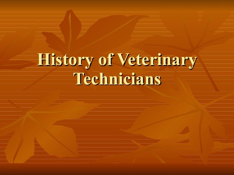 History Of Veterinary Technicians