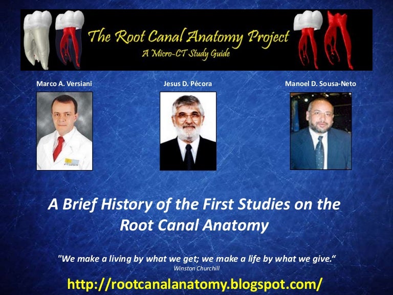 A Brief History of the First Studies on the Root Canal Anatomy