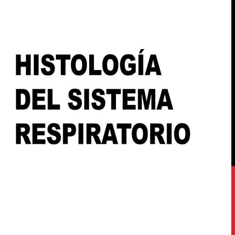Histología del Sistema Respiratorio