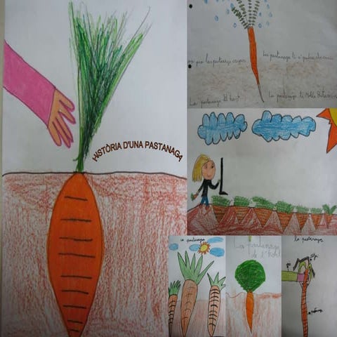 HistòRia Duna Pastanaga