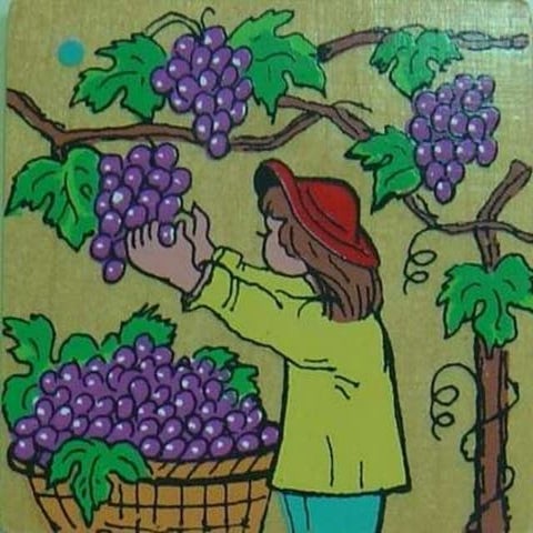 H I S TÓ R I A Das Vindimas