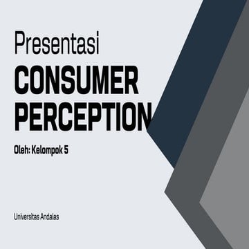 Consumer Perception Perilaku Konsumen Consumer Behavior Pdf