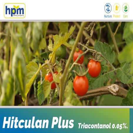 Hitculan Plus