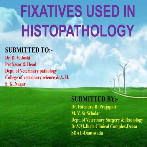 Fixatives used in histopathology