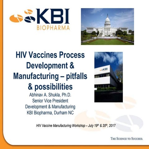 HIV Vaccines Process Development & Manufacturing - Pitfalls & Possibilities