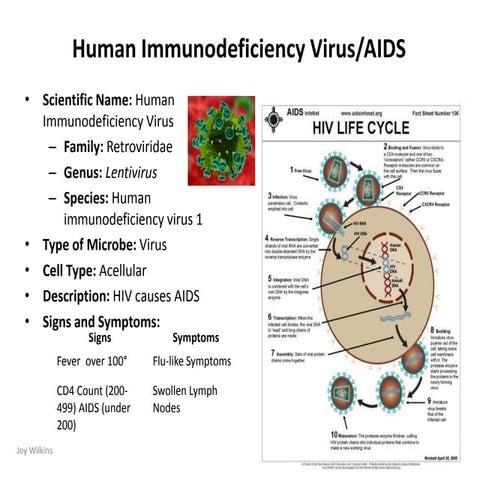 HIV, AIDS, Kaposi's Sarcoma 