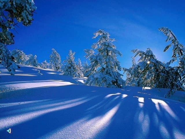 Un hiver magnifique