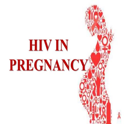 HIV in pregnancy seminar