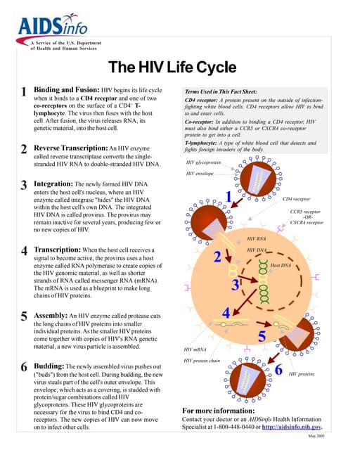 Pathogenesis Hiv Slide | PPTX | Biological Sciences | Science