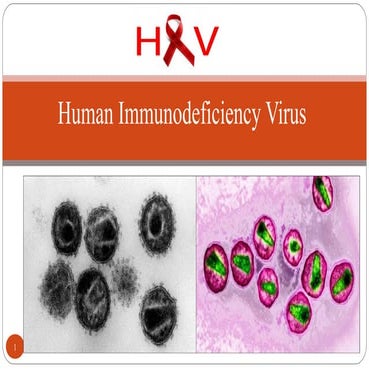 HIV PPT.pdf, hiv pathogenesis, and symptoms | PDF