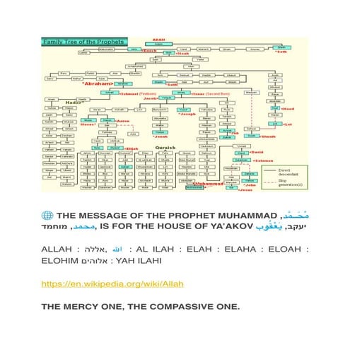 HIVRIM - THE MESSAGE OF THE PROPHET MUHAMMAD | PDF