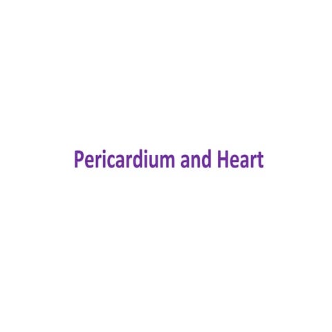 Heart and pericardium cvs anatomy