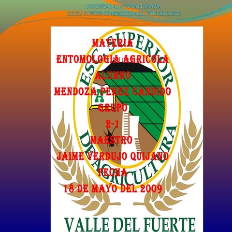 Presentacion%20de%20insectos