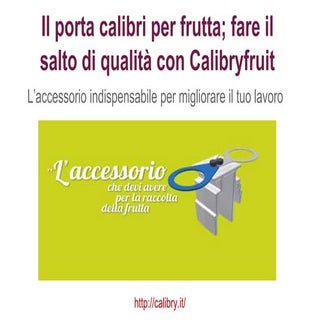Il porta calibri per la tua raccolt...