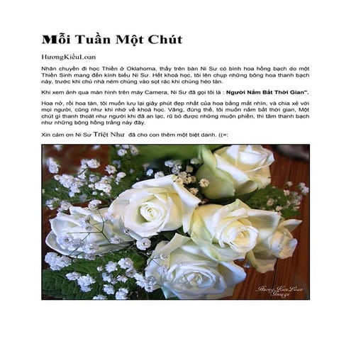 Mỗi Tuần một Chút và photo - Hương Kiều Loan