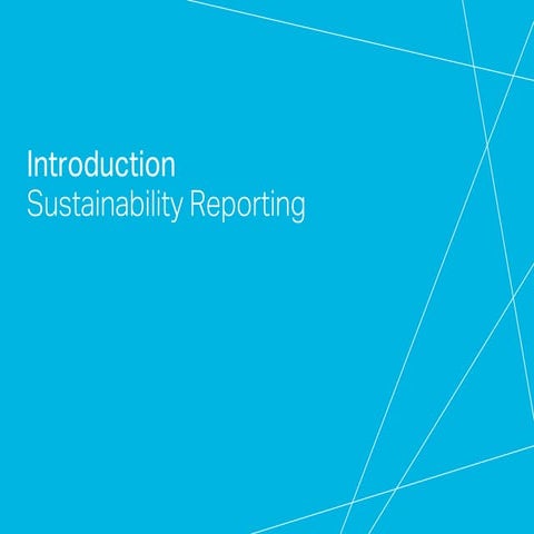 Sustainability report briefing 2017