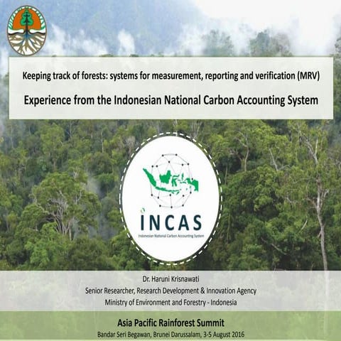 Keeping track of forests: systems for measurement, reporting and verification...