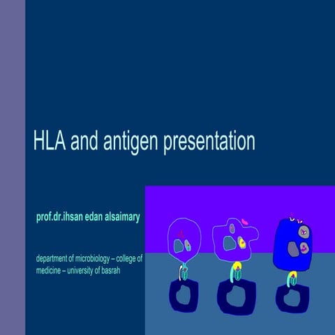 Hla and antigen presentation dr. ihsan alsaimary