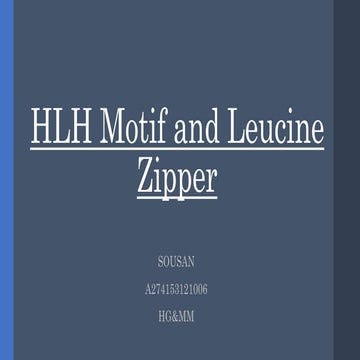 HLH Motif and Leucine Zipper , domains  - molecular biology