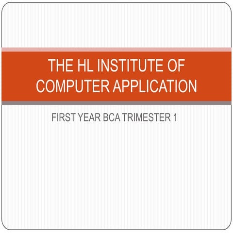 Hl institute of computer application