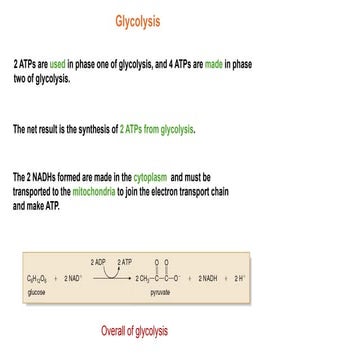 Comprehensive Overview of Glycolysis: ATP and NADH Production | PPTX