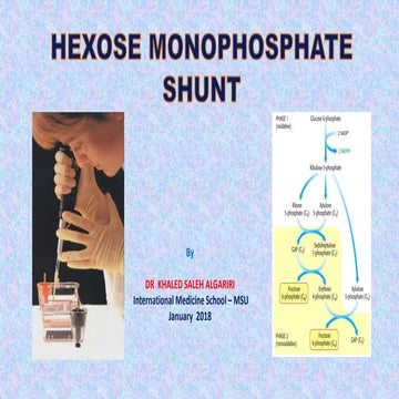 HEXOSE MONOPHOSPHATE SHUNT