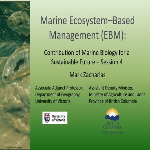 Marine ecosystem based management