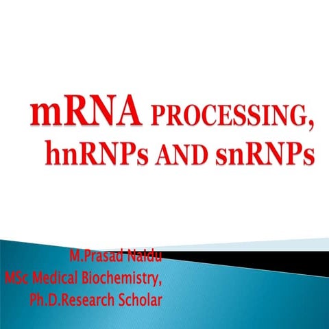 hn RNA processing