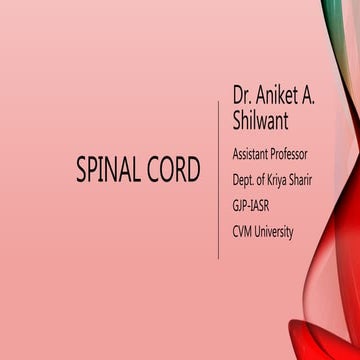 HNS PART VI - SPINAL CORD 