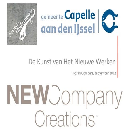 Hnw serious amt capelleadijssel rg 0912 (1)