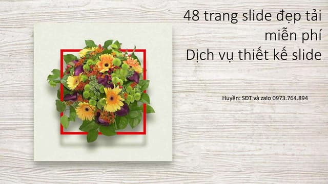 Hoa Khung màu đỏ Mẫu PowerPoint.pptx
