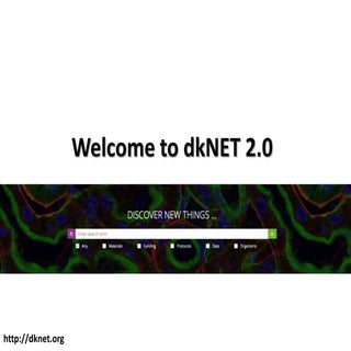 dkNET Tutorial, release 2.0