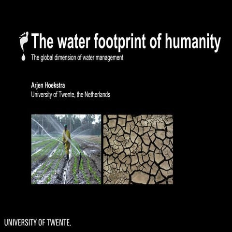 The water footprint of humanity – the global dimension of water management